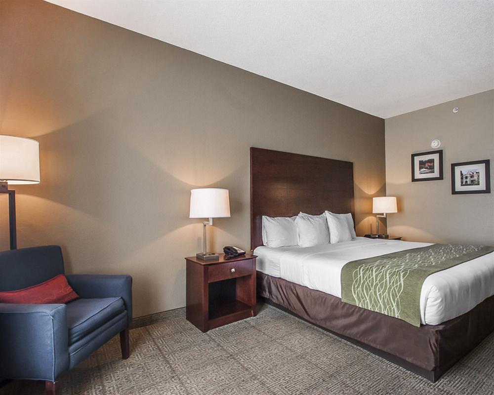 Comfort Inn Us Hwy 80 Demopolis Exterior foto